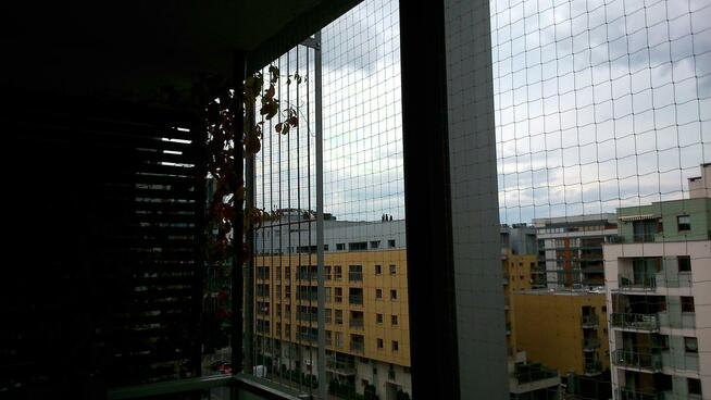 Siatka balkonowa, zabezpieczenie dla kota, przeciw ptakom