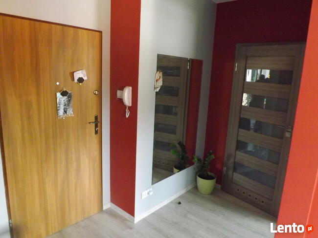 Mieszkanie do wynajęcia