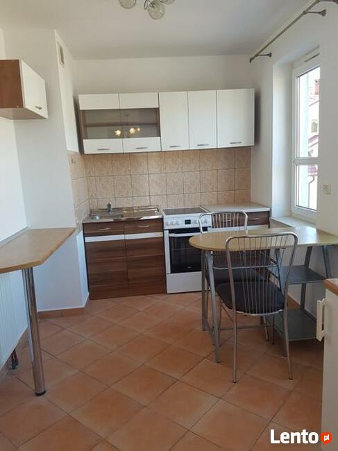 Mieszkanie do wynajęcia