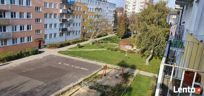 Mieszkanie do wynajęcia