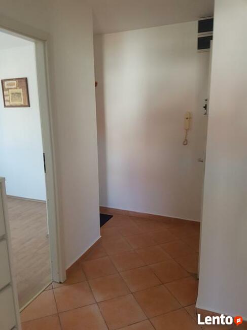 Mieszkanie do wynajęcia