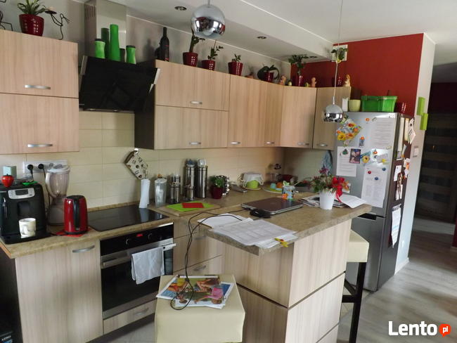 Mieszkanie do wynajęcia