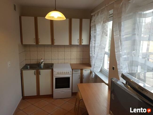 Mieszkanie do wynajęcia