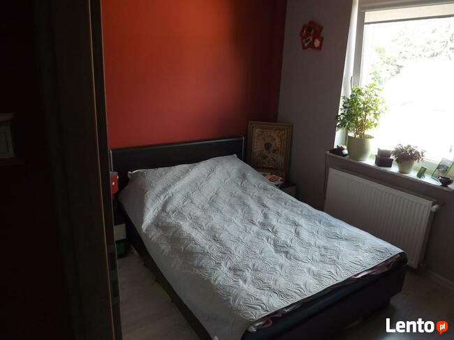 Mieszkanie do wynajęcia