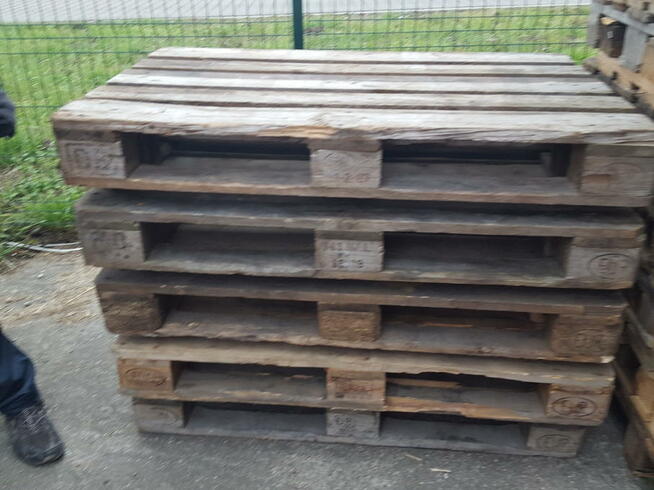 Euro Epla II gatunek - używane