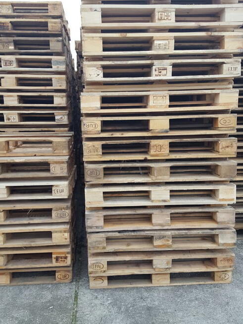 Euro Epla II gatunek - używane