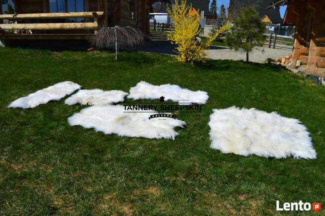 Skóra Owcza Naturalna Dywany Skóry Zszywane Skóry Naturalne