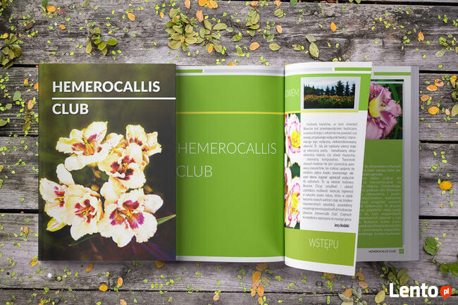 Grafik komputerowy Ulotki Bannery Wizytówki Katalogi FV