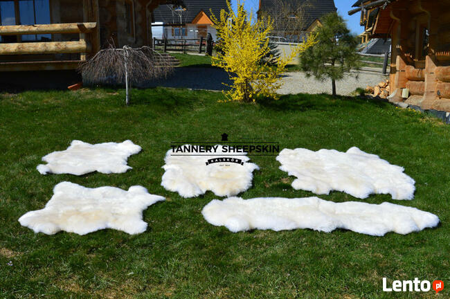 Skóra Owcza Naturalna Dywany Skóry Zszywane Skóry Naturalne