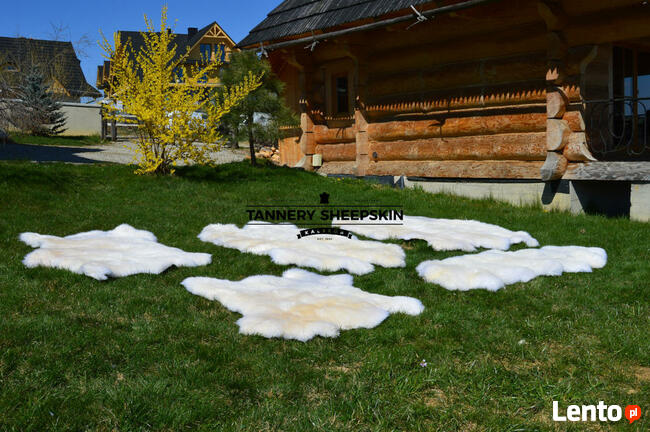 Skóra Owcza Naturalna Dywany Skóry Zszywane Skóry Naturalne