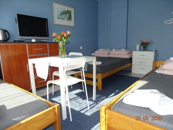 Tamie Noclegi Mielno Wakacje 2026