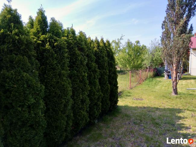 Sprzedam działkę ROD KAMIENIEC W KAMIEŃCU WROCŁAWSKIM