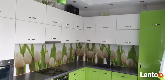 Panele szklane z grafiką , szkło do kuchni , lacobel