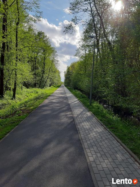 Apartament LUX pomarańczowy z basenem, sauną, siłownią,