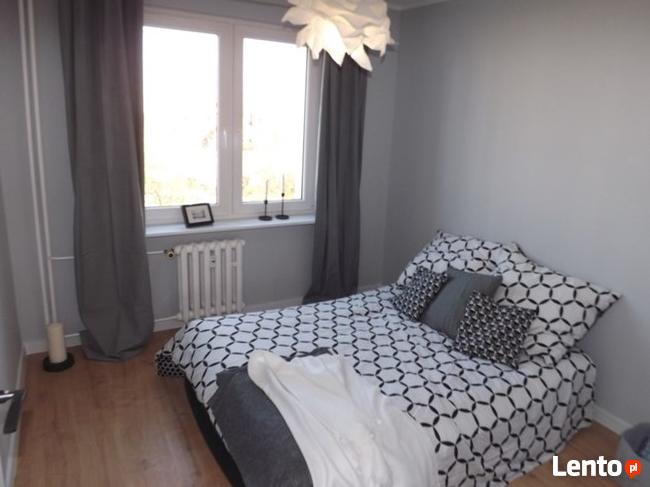 Mieszkanie do wynajęcia