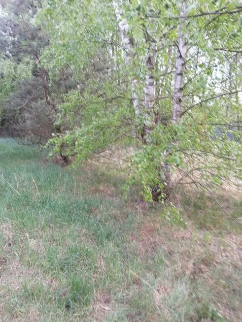 sprzedaz dzialki budowlanej