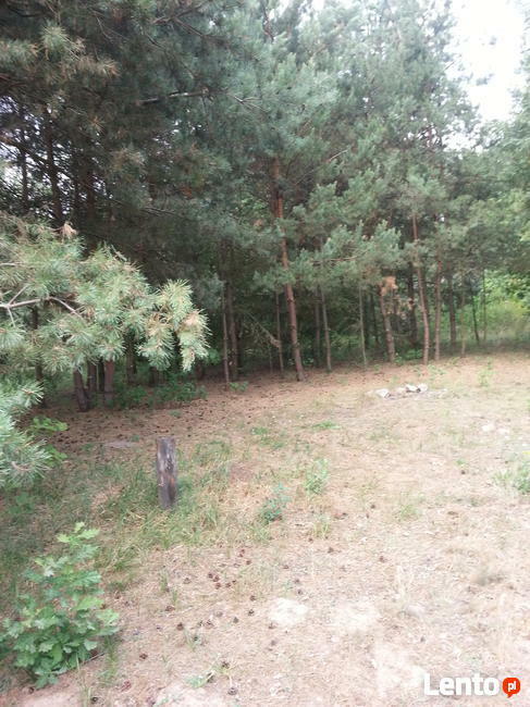 sprzedaz dzialki budowlanej