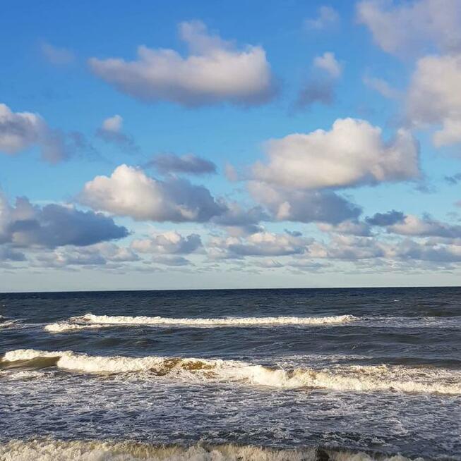 Apartament LUX pomarańczowy z basenem, sauną, siłownią,