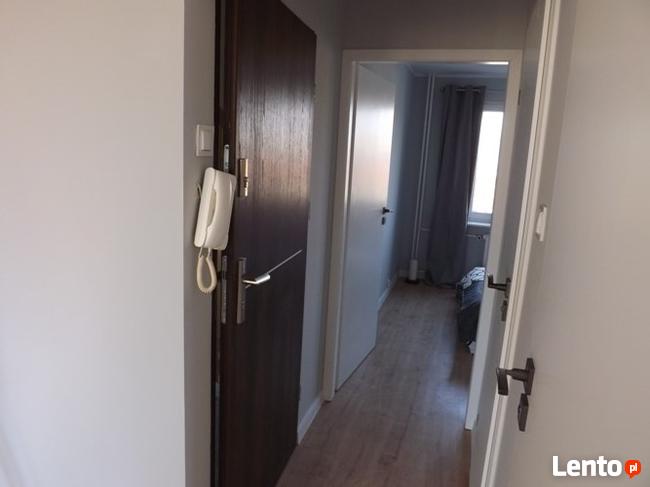 Mieszkanie do wynajęcia