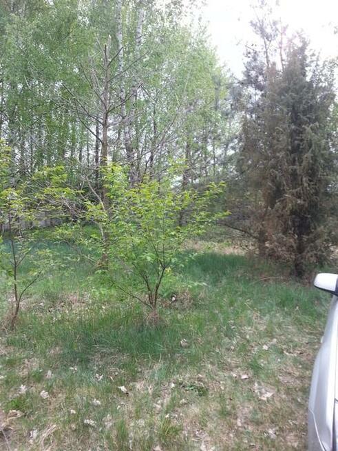 sprzedaz dzialki budowlanej