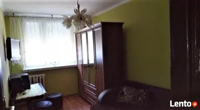 Mieszkanie do wynajęcia