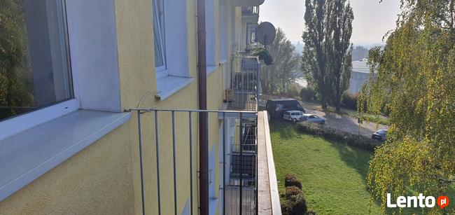 Mieszkanie do wynajęcia