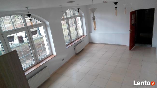 LOKALE od ZARAZ Jastrzębie-Zdrój, Park Zdrojowy