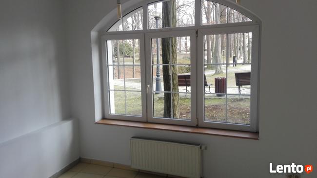 LOKALE od ZARAZ Jastrzębie-Zdrój, Park Zdrojowy