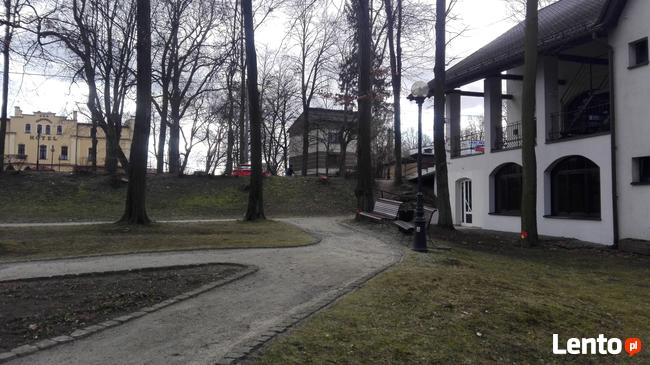 LOKALE od ZARAZ Jastrzębie-Zdrój, Park Zdrojowy