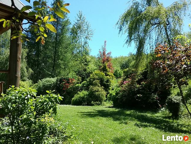 Agroturystyka Wieliczka , Chata, Noclegi