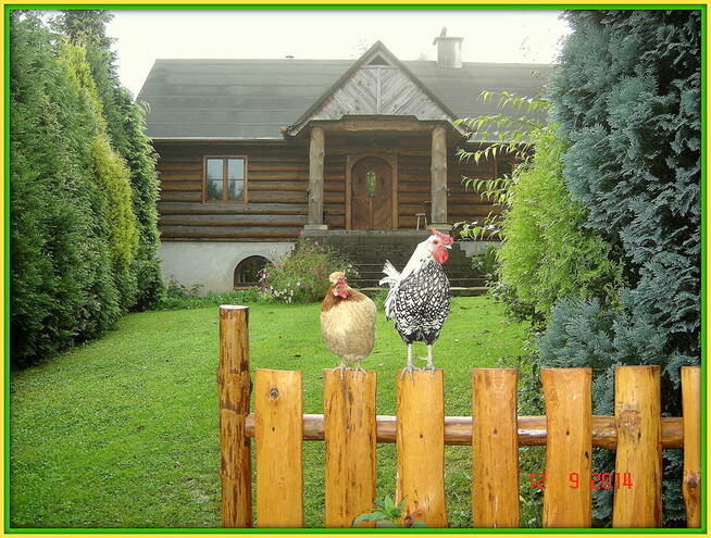 Agroturystyka Wieliczka , Chata, Noclegi