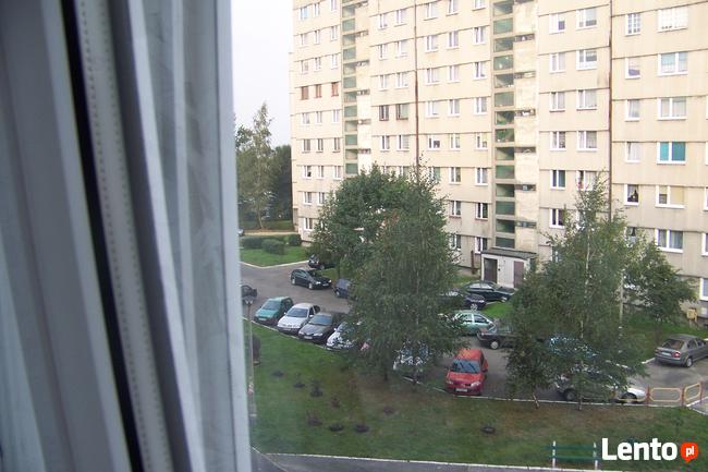 Zamienię wł. w Dąbrowie Gór.na Pszczynę, Goczałkowice lub ok.