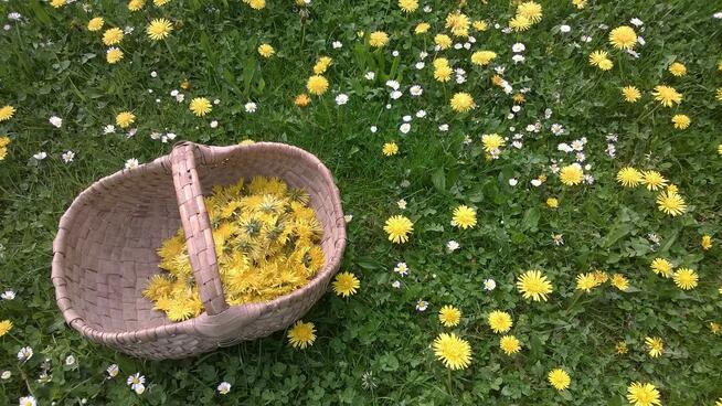 Agroturystyka Wieliczka , Chata, Noclegi