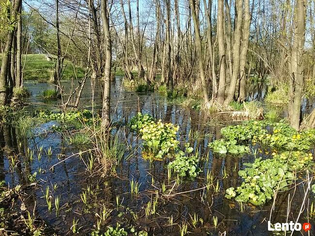 Agroturystyka Wieliczka , Chata, Noclegi