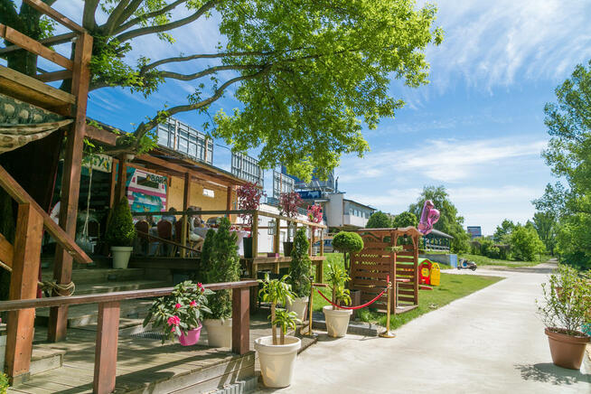Lokal Na Urodziny z Przestronnym Ogrodem , Panieńskie, Osiem