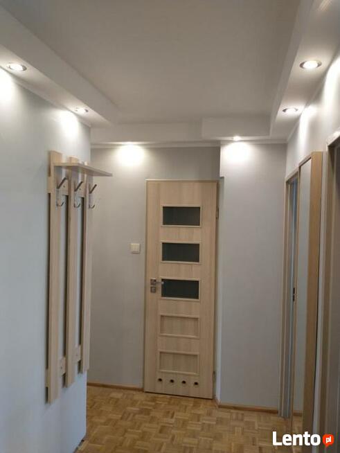 Malowanie, szpachlowanie, tapetowanie.