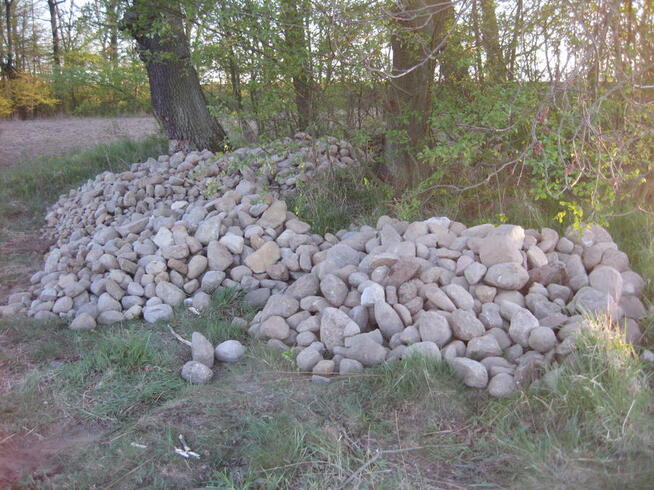 Kamień polny, otoczak, głaz, skała - cena 95,00 PLN za tonę.