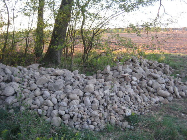 Kamień polny, otoczak, głaz, skała - cena 95,00 PLN za tonę.