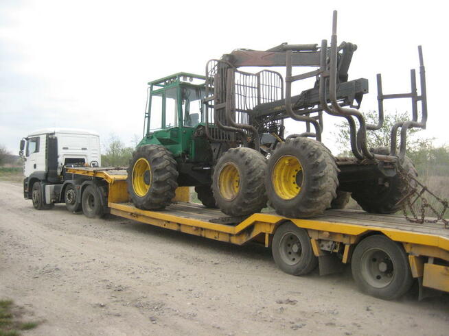 Wycinka, karczowanie korzeni, sprzątanie, koszenie, porządki