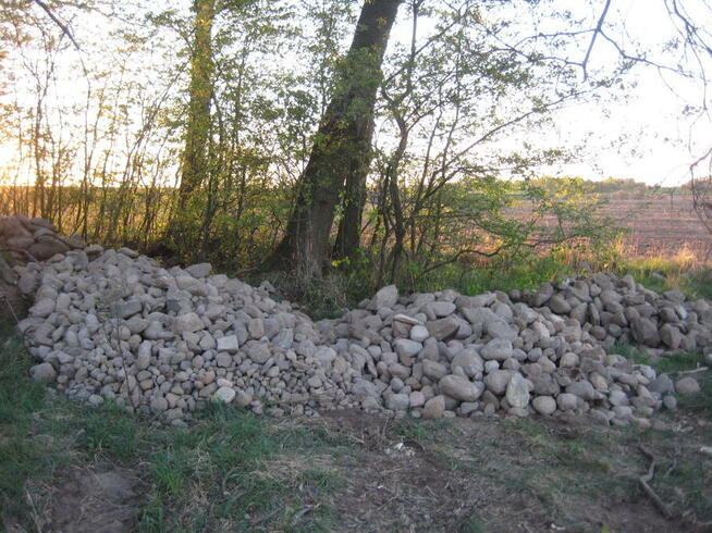 Kamień polny, otoczak, głaz, skała - cena 95,00 PLN za tonę.