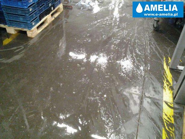 sprzątanie po wybiciu kanalizacji zalaniu Cała Polska
