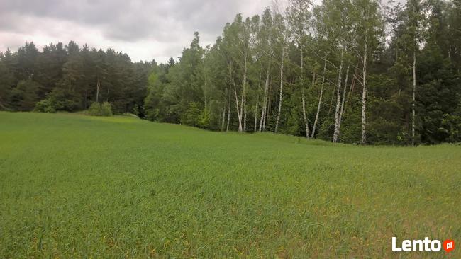Mazury Stare Juchy działki w okolicach jeziora lasu