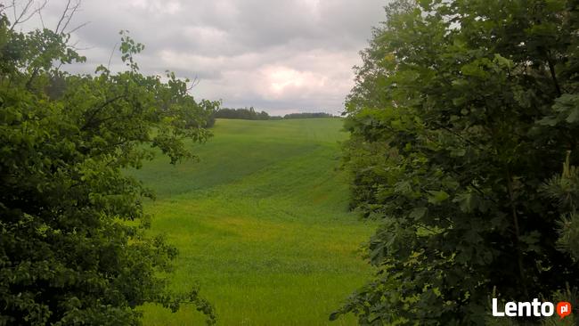 Mazury Stare Juchy działki w okolicach jeziora lasu