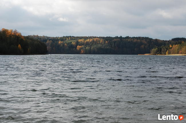 Mazury Stare Juchy działki w okolicach jeziora lasu