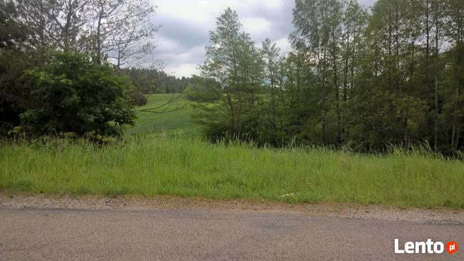 Mazury Stare Juchy działki w okolicach jeziora lasu