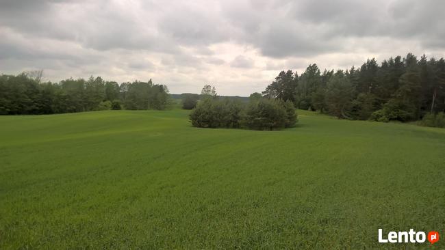 Mazury Stare Juchy działki w okolicach jeziora lasu