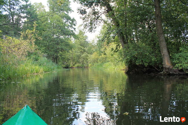 MAZURY. 2-os domek letniskowy nad jez. Święcajty. Dziaduszyn