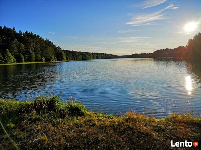 Całoroczny Domek u Lipków na Kaszubach Iga