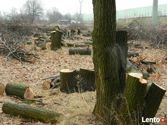 Koszenie trawy wycinka drzew