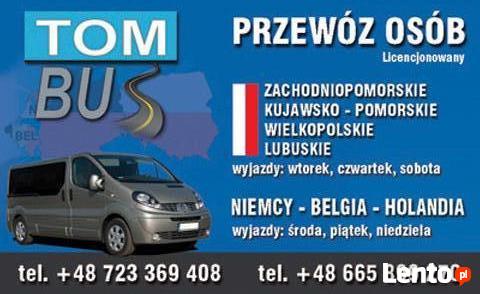 Busy Niemcy Holandia. Przewóz Osób Bydgoszcz ,Toruń, Włocławe
